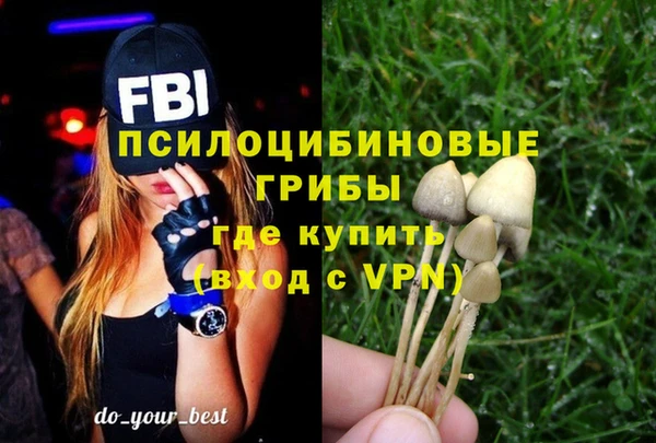 кокс Алзамай