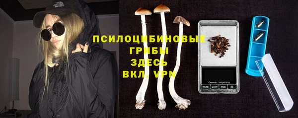 кокс Алзамай